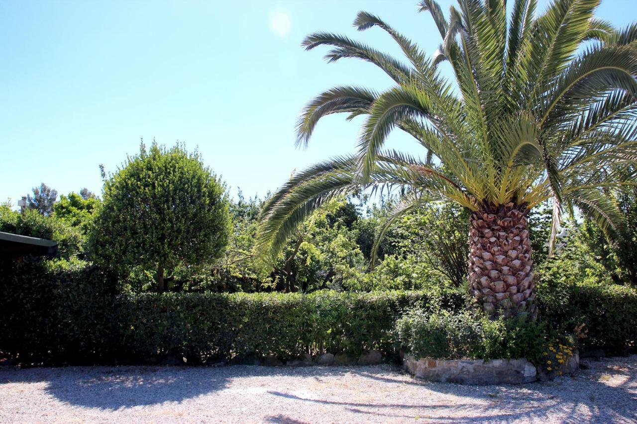 Elbaloves Appartaments Villa Capoliveri  Dış mekan fotoğraf