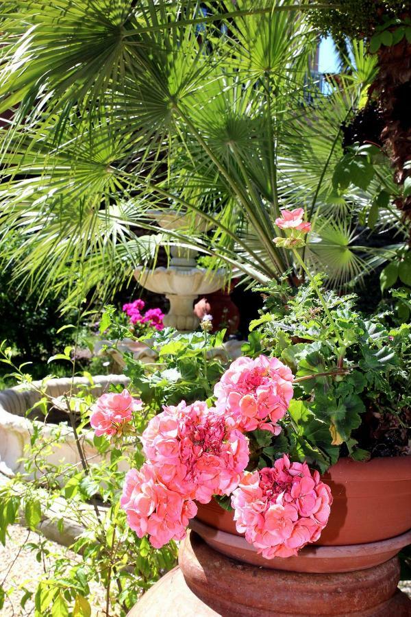 Elbaloves Appartaments Villa Capoliveri  Dış mekan fotoğraf