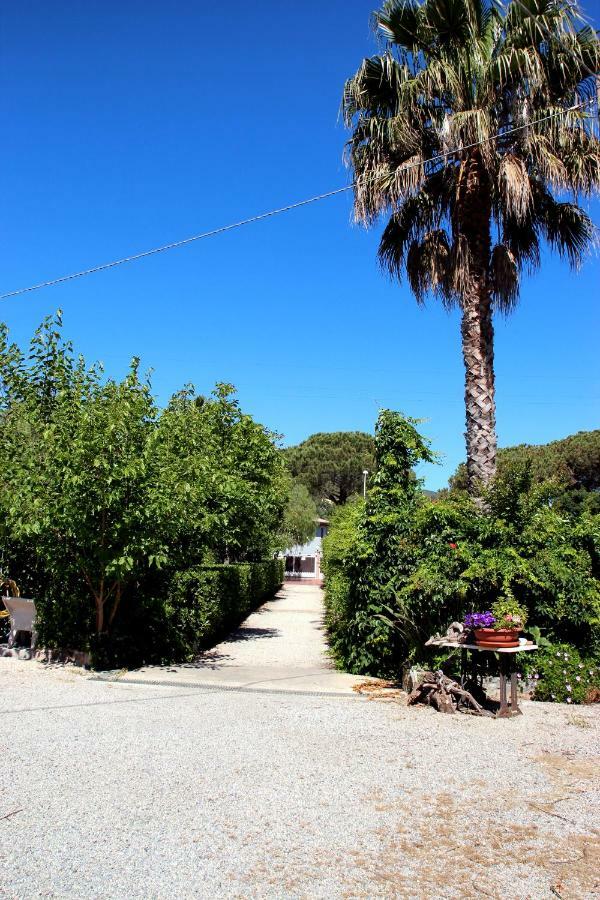 Elbaloves Appartaments Villa Capoliveri  Dış mekan fotoğraf